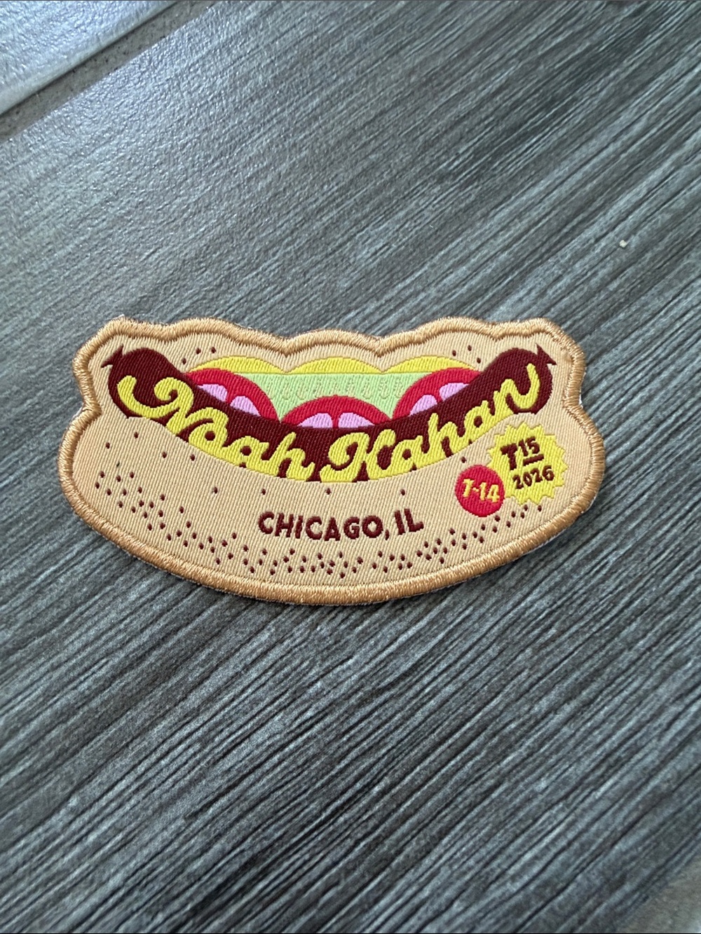 Noah Kahan Chicago IL Tour concert Collectible Embroidered Patch - iron on